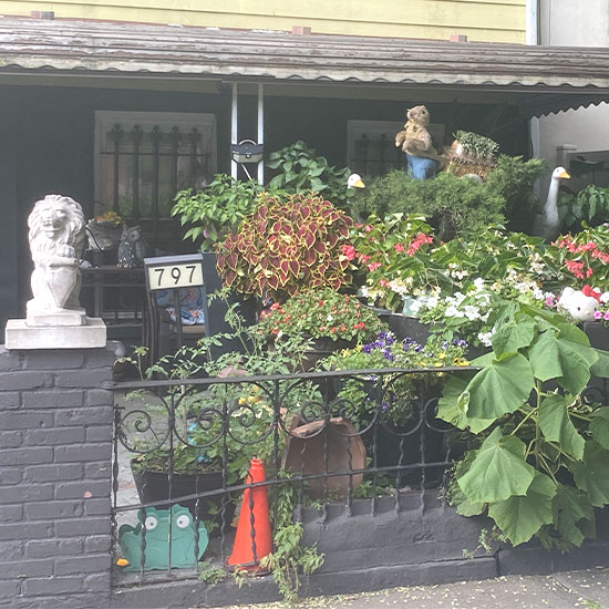 Image 7